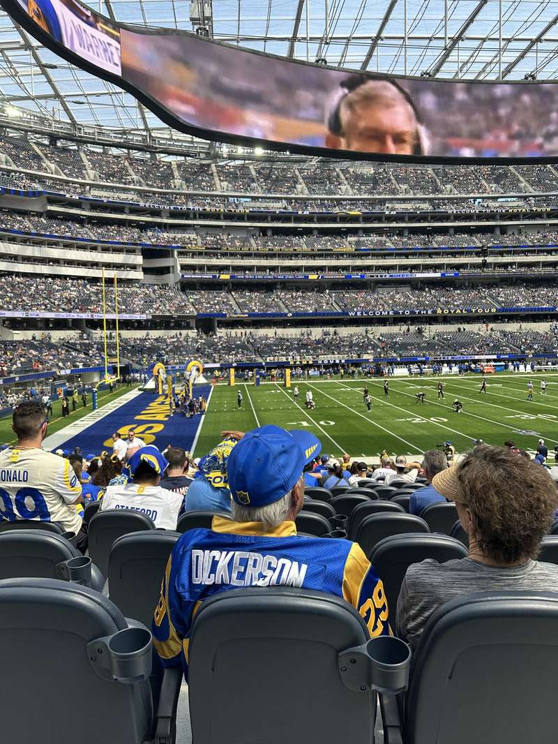 Fan in Dickerson jersey, packed stadium